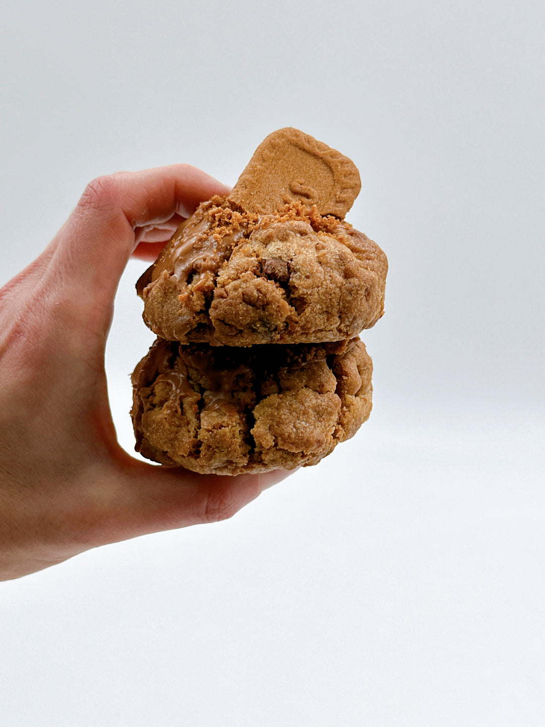 The Blissful Biscoff: Biscoff Biscuit & White Chocolate Cookie