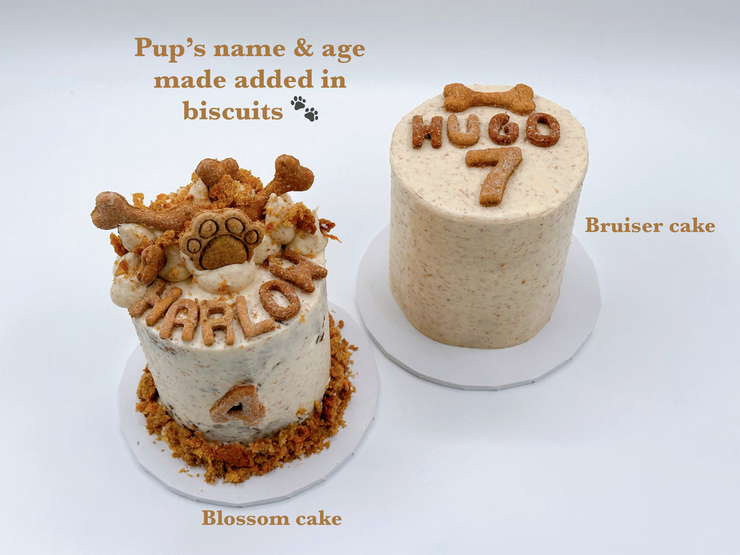 Blossom's Dog Cake